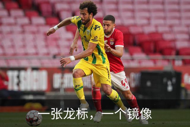 一张龙标，一个镜像