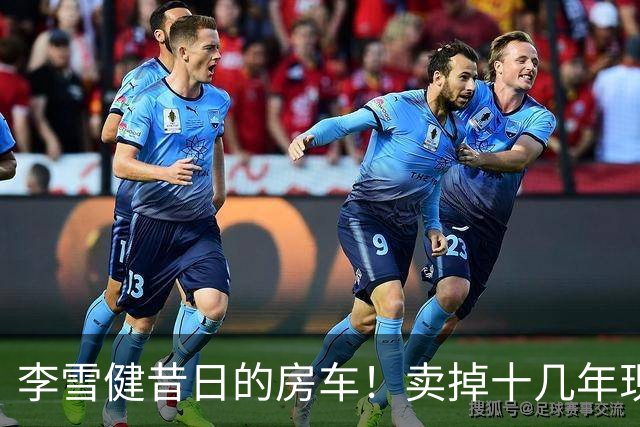 李雪健昔日的房车！卖掉十几年现身云南，竟然还保养得这么好